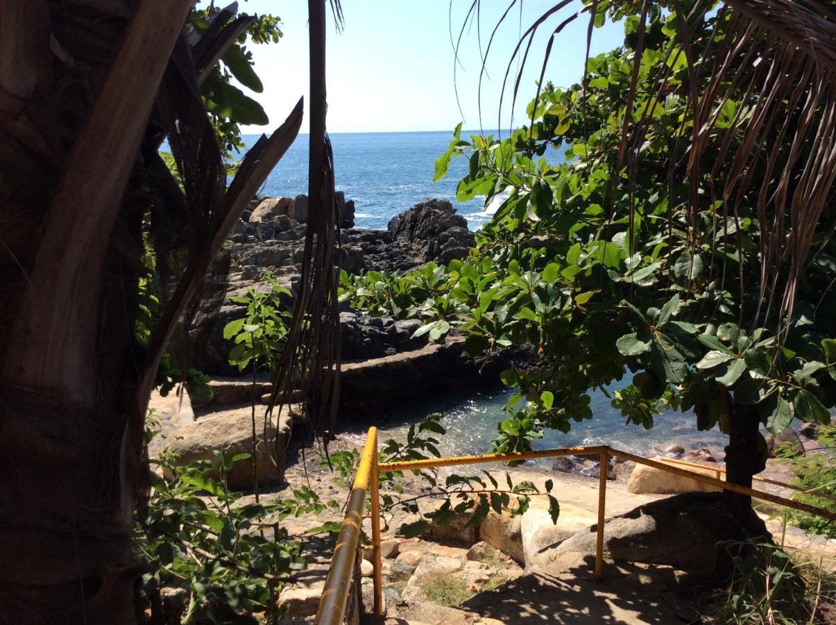 Donde Mira El Sol, Promo Primavera Hasta 50 Por Ciento (Adults Only) Acapulco Eksteriør billede