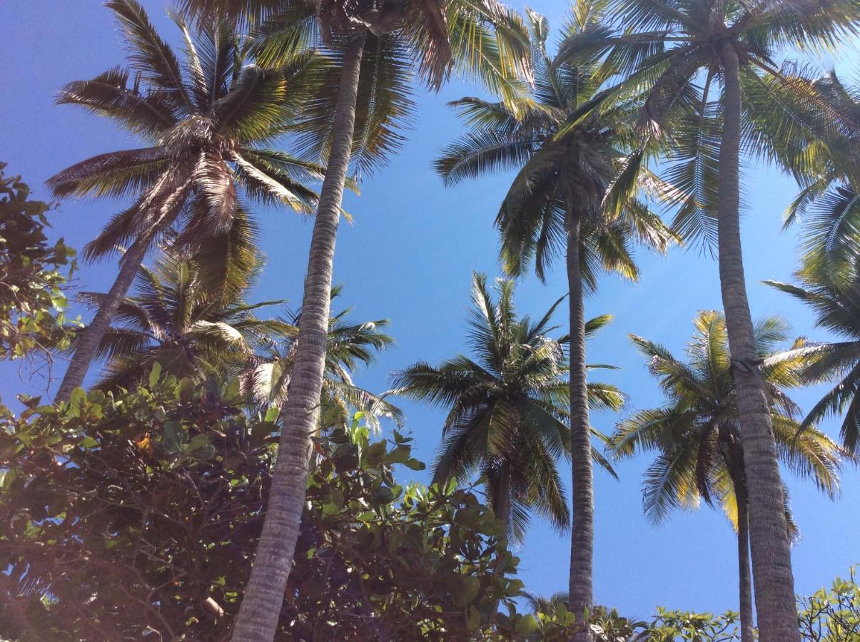 Donde Mira El Sol, Promo Primavera Hasta 50 Por Ciento (Adults Only) Acapulco Eksteriør billede