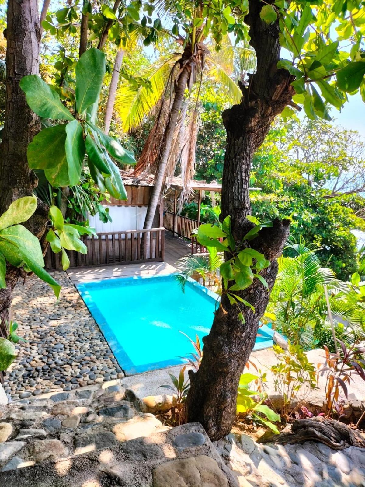 Donde Mira El Sol, Promo Primavera Hasta 50 Por Ciento (Adults Only) Acapulco Eksteriør billede
